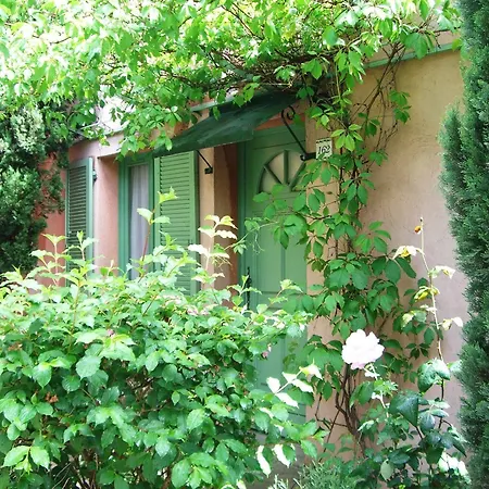 Vert Avignon